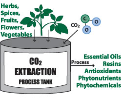 co2_extraction