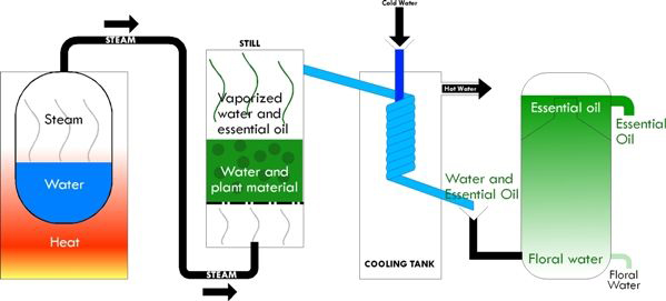 steam_distillation