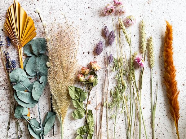 How This All-Natural Deodorant For Women Became A Ritual Of Empowerment And Sensuality How This All-Natural Deodorant For Women Became A Ritual Of Empowerment And Sensuality