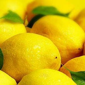 lemon_citrus_limonum