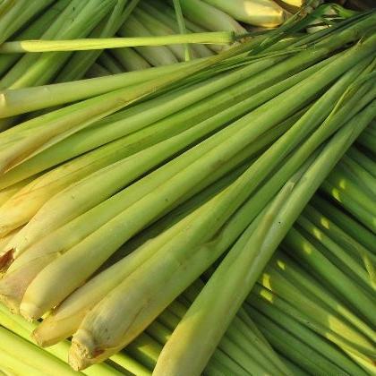 Lemongrass