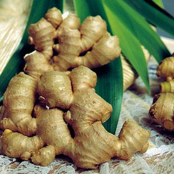 Ginger ginger_root