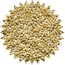 pearl_barley_water