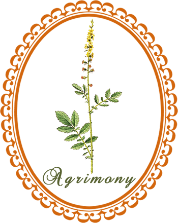 agrimony