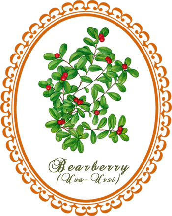 bearberry