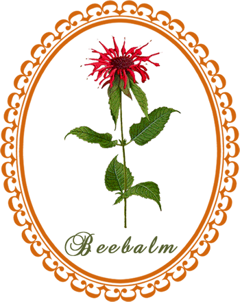 beebalm