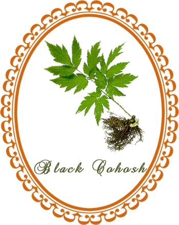 blackcohosh