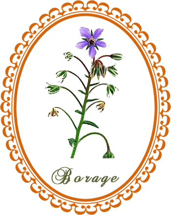 borage