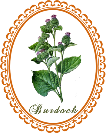 burdock