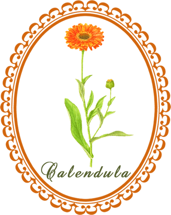 calendula