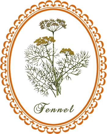 fennel