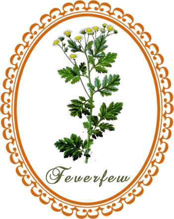 feverfew