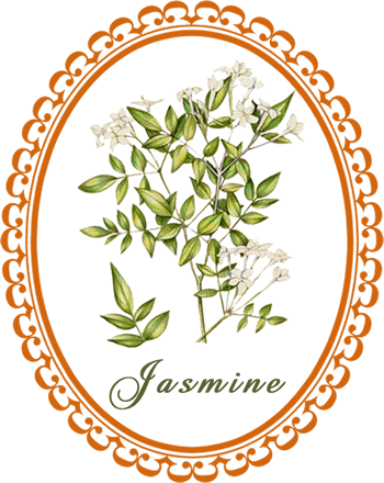 jasmine