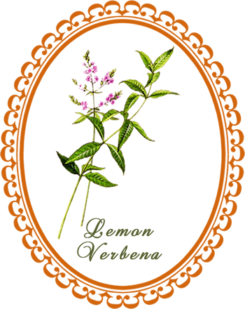 lemonverbena