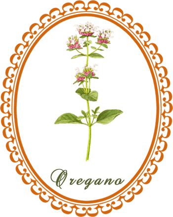 oregano