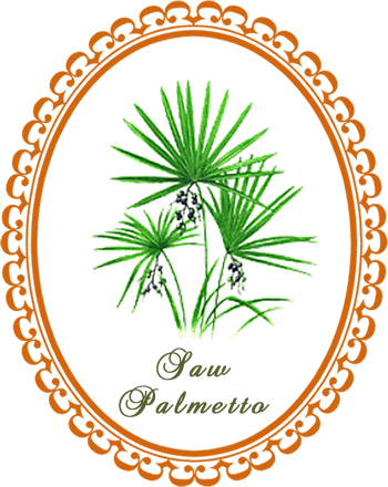 saw_palmetto