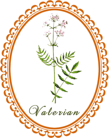 valerian