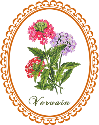 vervain