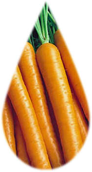 carrots