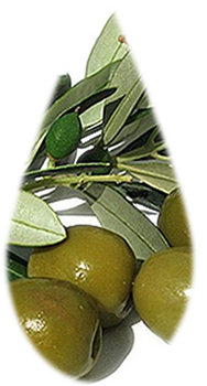 olive_oil