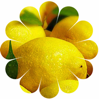 lemon